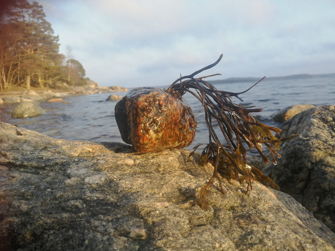 Algae Necklace