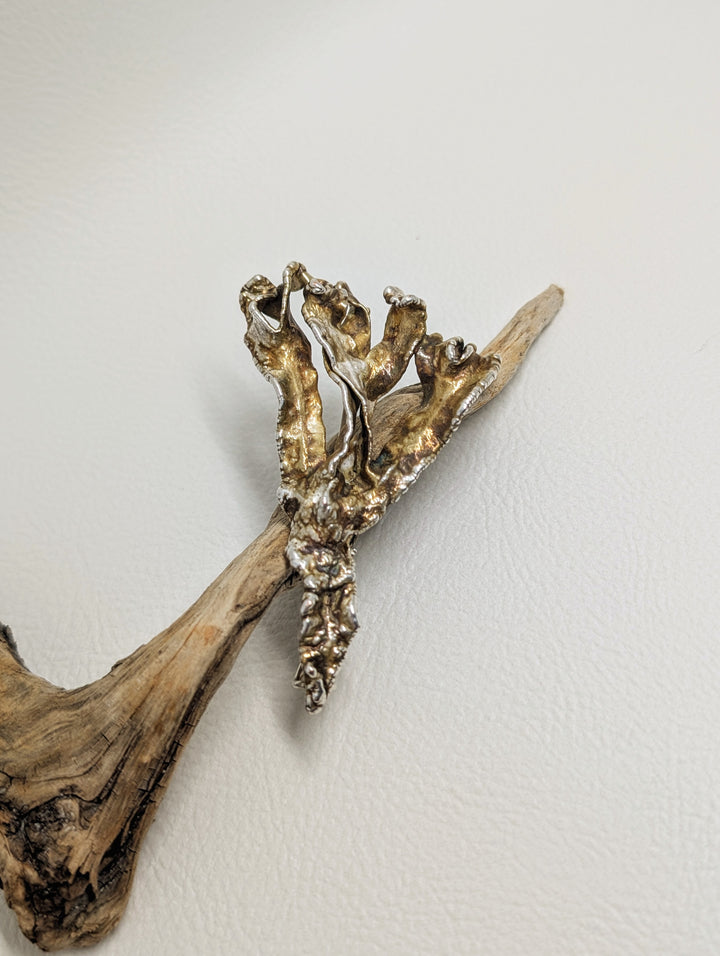 Alga Brooch