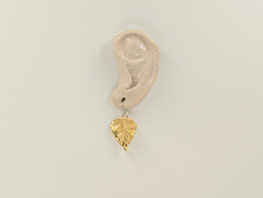 Birch Leaf Earrings