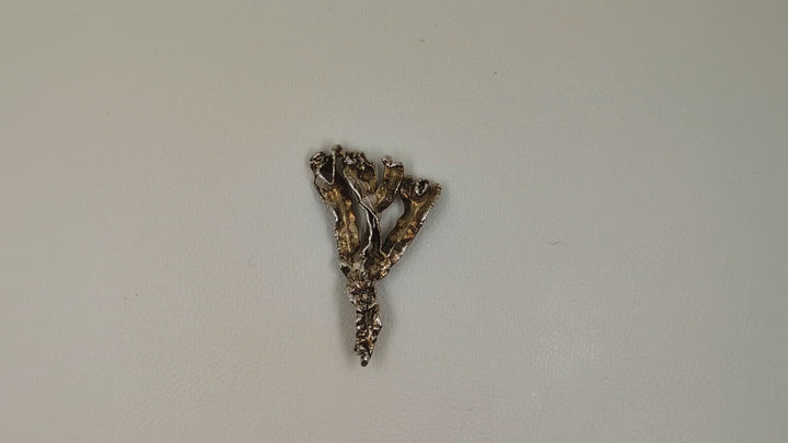 Alga Brooch