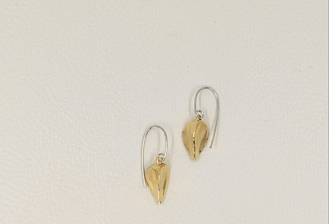Book Seeds Earrings